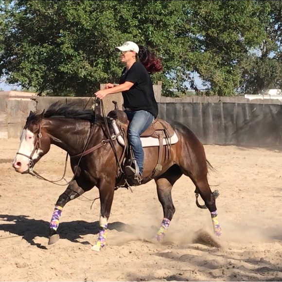 Meet your Posher, Bonnie - Picture 5 of 7